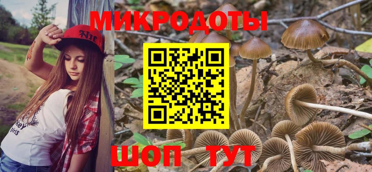 Псилоцибиновые грибы прущие грибы Людиново