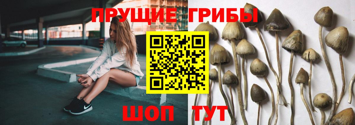 АМФЕТАМИН Людиново